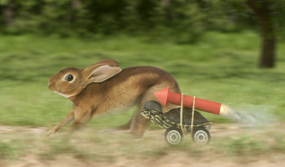 Google Speed Update Tortoise Vs Hare Picture